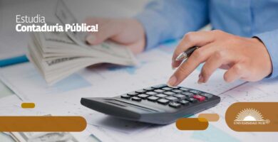 Licenciatura en Contadur&iacute;a P&uacute;blica