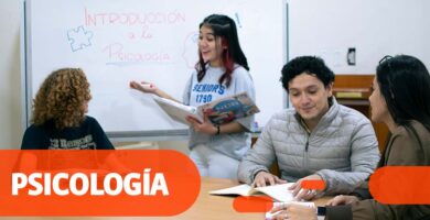 Licenciatura en Psicolog&iacute;a